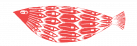basiawojtek.pl